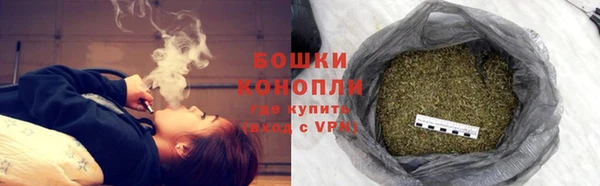 Альфа ПВП Лагань