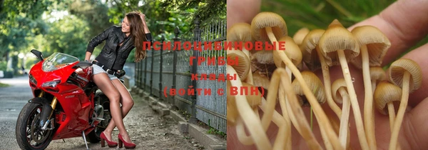 Альфа ПВП Лагань
