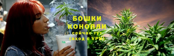 Альфа ПВП Лагань