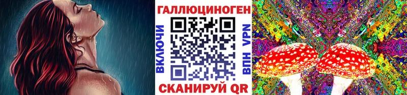 Купить где  Наволоки  Галлюциногенные грибы прущие грибы 
